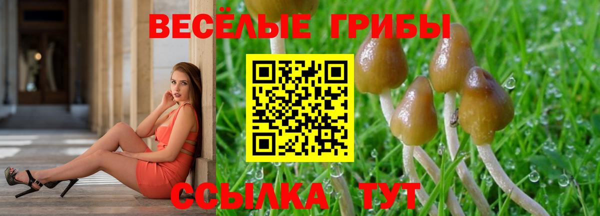Галлюциногенные грибы GOLDEN TEACHER Кемерово