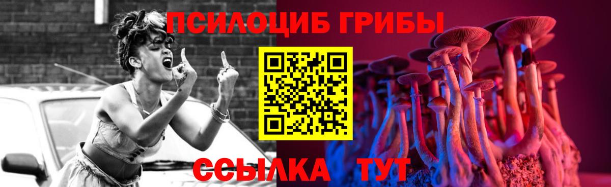 Псилоцибиновые грибы GOLDEN TEACHER  Вход с VPN  Кемерово 